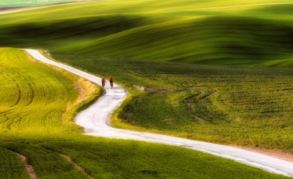 Picture of CYCLISTS