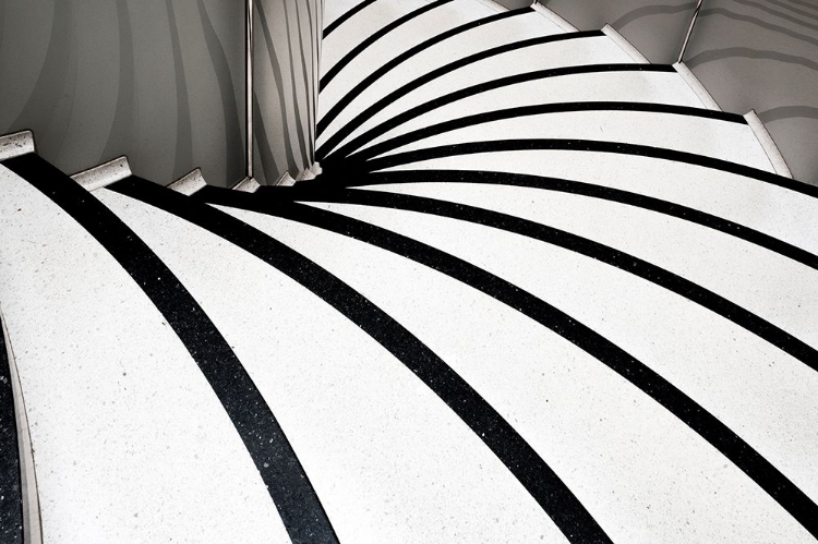 Picture of ZEBRA STEPS