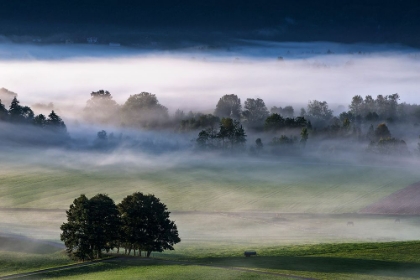 Picture of MAGICALLY RISING FOG...