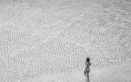 Picture of LOW TIDE