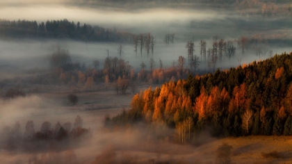 Picture of AT THE GATES OF THE VALLEY.