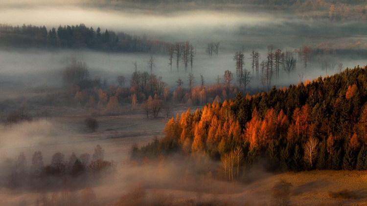 Picture of AT THE GATES OF THE VALLEY.