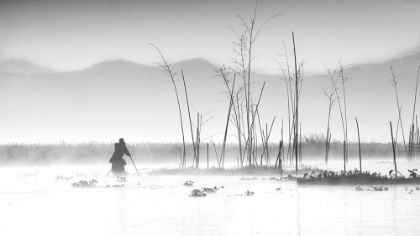 Picture of FISHING IN A MISTY MORNING