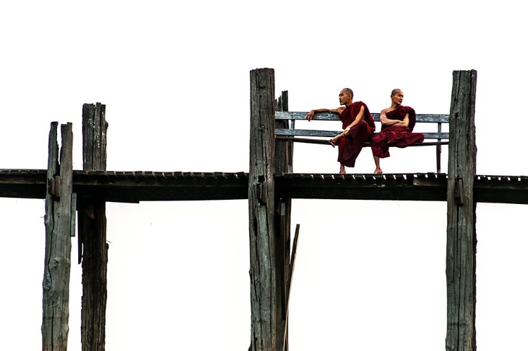 Picture of BILATERAL MONKS