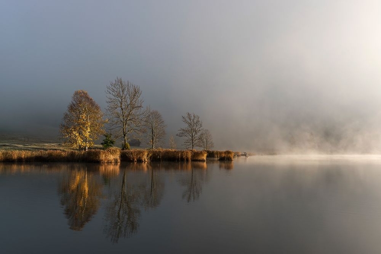 Picture of FOGGY MORNING