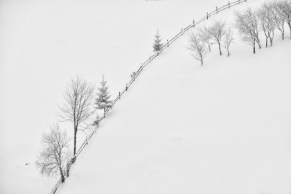 Picture of POETRY IN BLACK AND WHITE