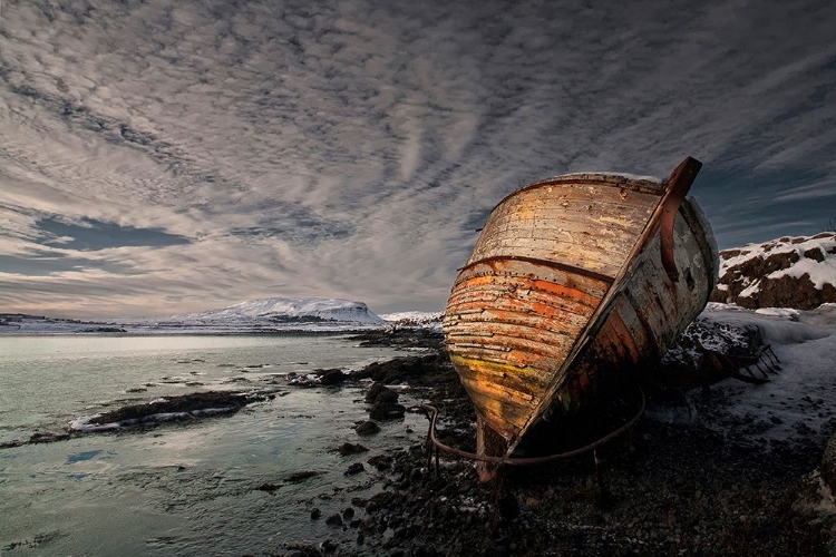 Picture of ICY SHORE