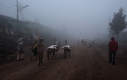 Picture of FOG IN A VILLAGE IN THE HIGHLANDS OF ETHIOPIA.