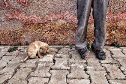 Picture of ALI AND HIS DOG