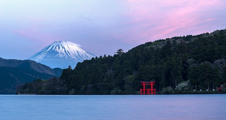 Picture of PINK FUJI