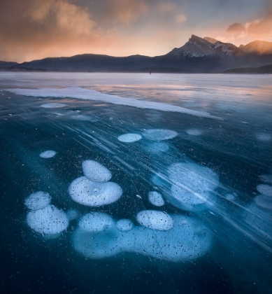 Picture of BUBBLES IN THE LAKE