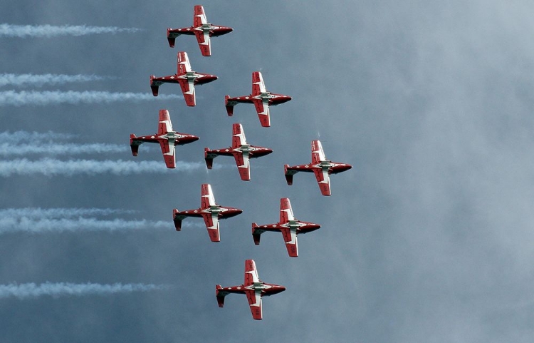 Picture of SNOWBIRDS