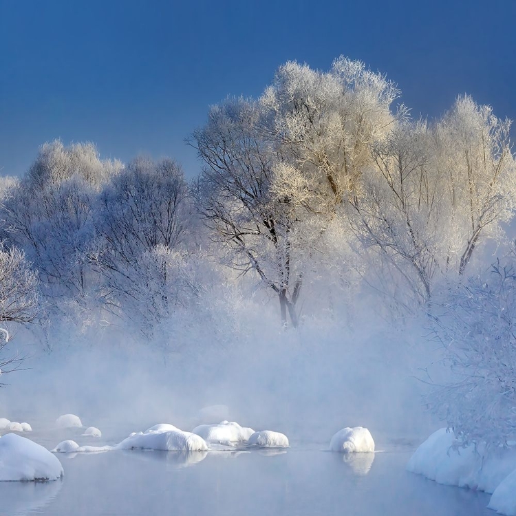 Picture of MORNING FOG AND RIME IN KUERBIN