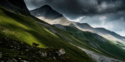 Picture of ALBULA PASS