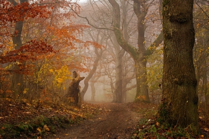 Picture of MY AUTUMN WALK