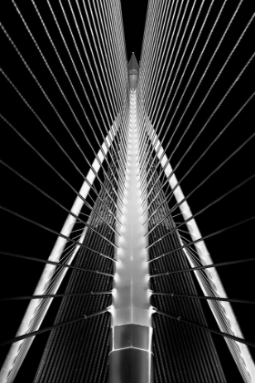 Picture of PUTRAJAYA BRIDGE