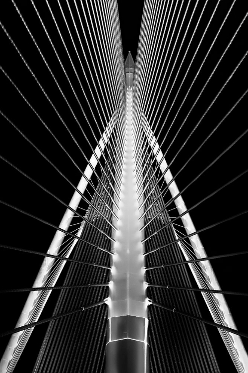 Picture of PUTRAJAYA BRIDGE