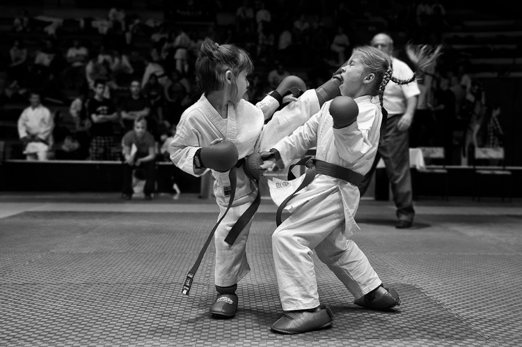 Picture of MAWASHI GERI