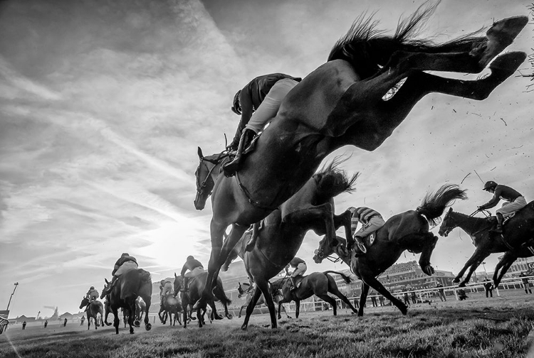 Picture of CHELTENHAM JUMPS FESTIVAL