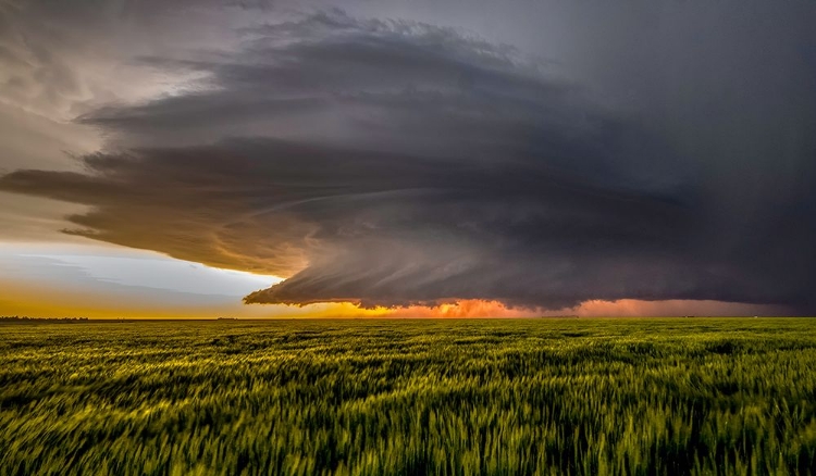 Picture of STORM AT SUNSET