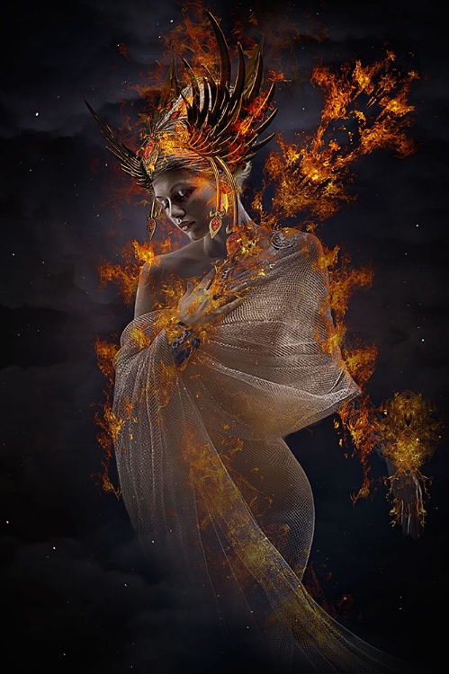 Picture of THE FIRE PRINCESS