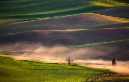 Picture of SUNSET IN PALOUSE