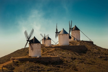 Picture of CONSUEGRA