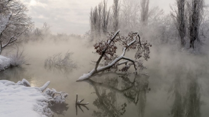 Picture of FOG OVER THE WATER