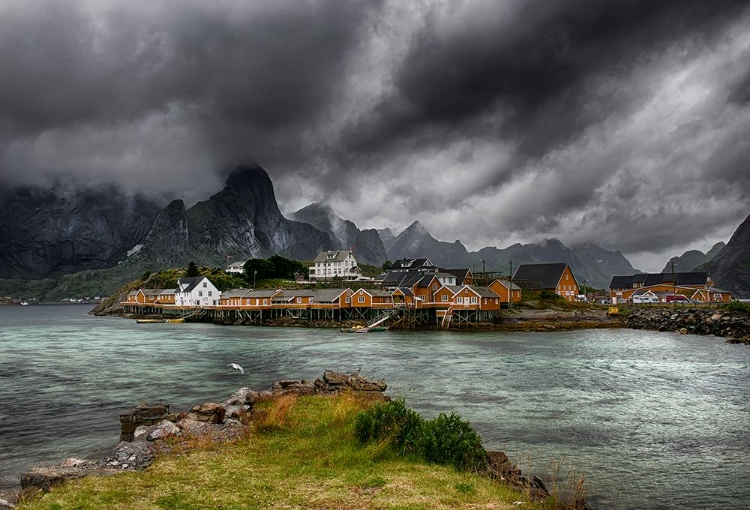 Picture of CLASSIC NORWAY