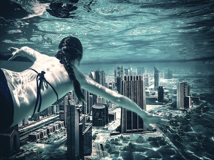 Picture of CITY DIVER