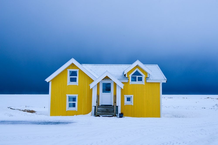 Picture of THE YELLOW HOUSE