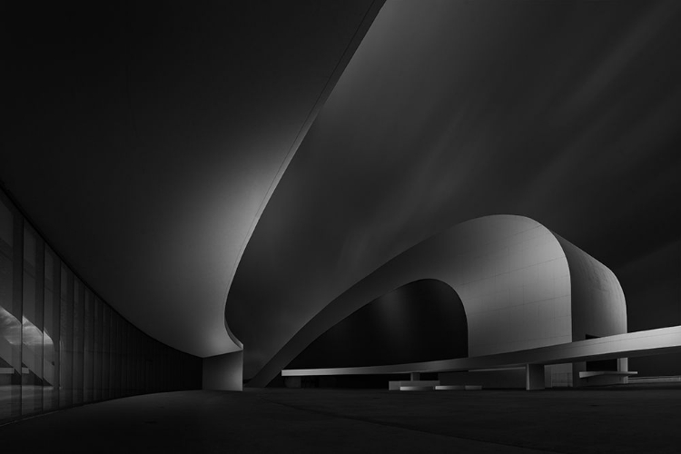 Picture of NIEMEYER SPACE