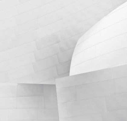 Picture of DISNEY CONCERT HALL #1