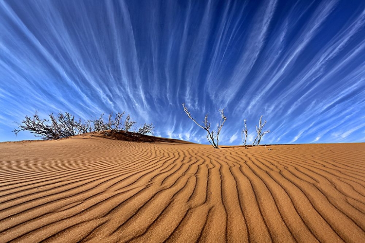 Picture of EARTH AND SKY LINES