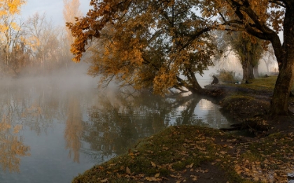 Picture of AUTUMN MISTY MORNING WITH A LONE FISHERMAN