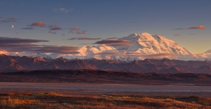 Picture of MOUNT MCKINLEY - DENALI NATIONAL PARK