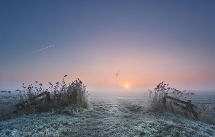 Picture of FROSTY MORNING