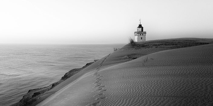 Picture of TRACES AT THE LIGHTHOUSE.