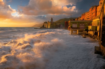 Picture of CAMOGLI