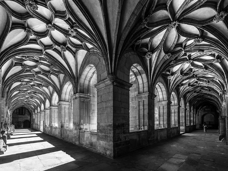 Picture of THE FLOWERY CLOISTER