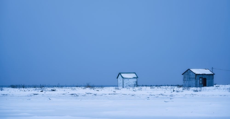 Picture of TWO SHACKS