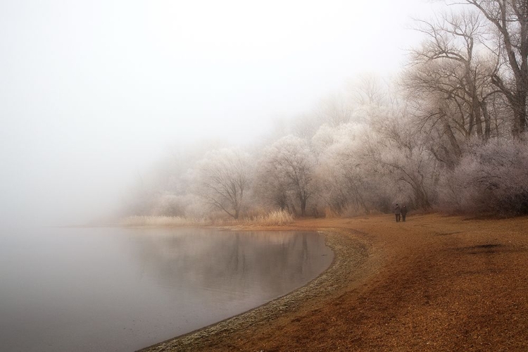 Picture of FOG AND RIME ON THE LAKE