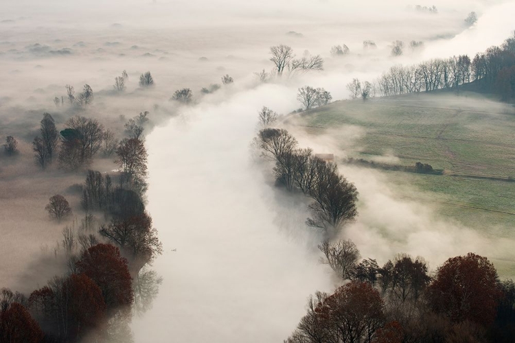 Picture of THE RIVER