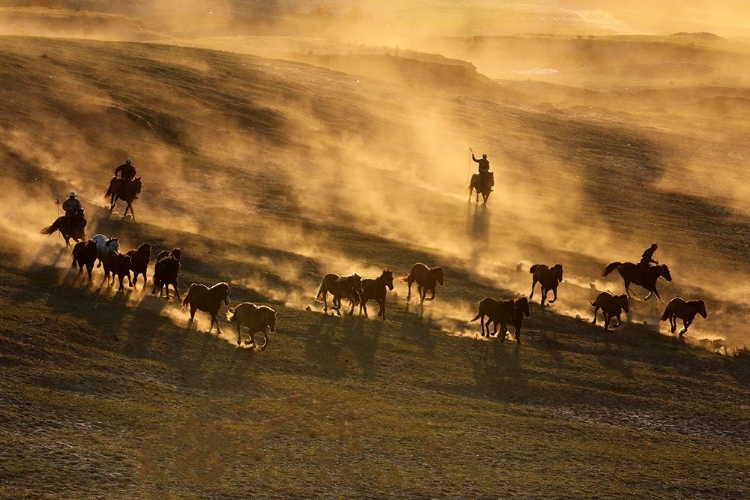 Picture of SUNSET RUN