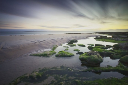 Picture of DAWN OVER SEAHOUSES BEACH