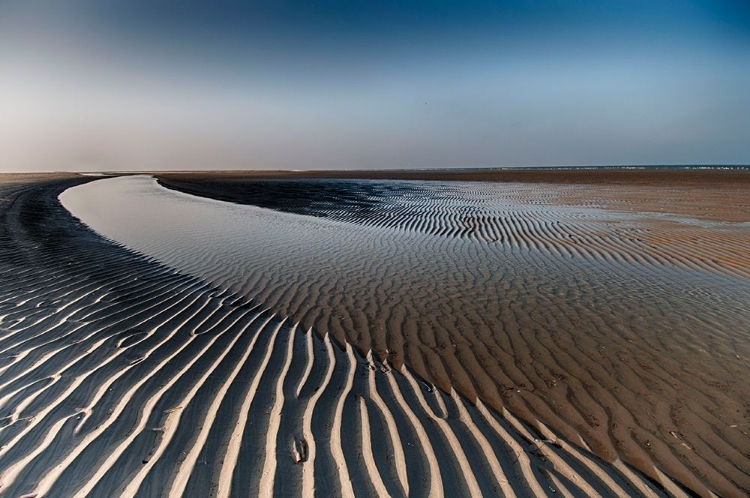 Picture of SANDLINES