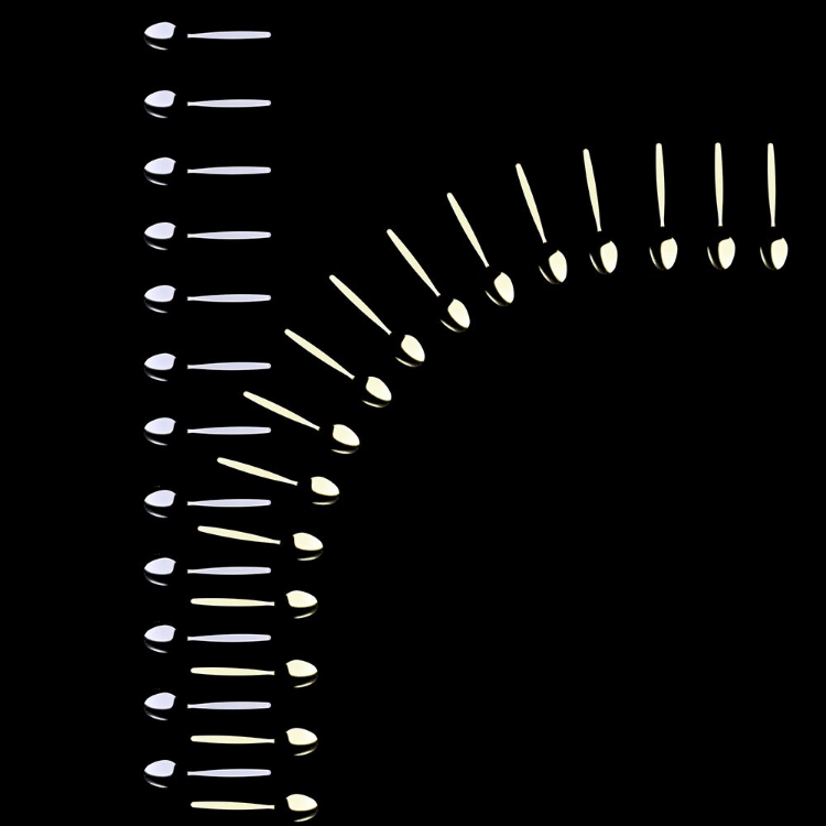 Picture of ZIPPER OF SPOONS