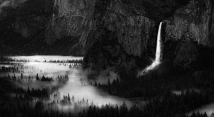 Picture of YOSEMITE SPRING