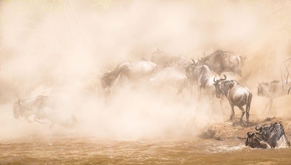 Picture of RIVER CROSSING