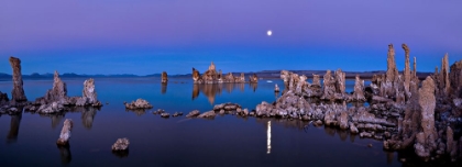 Picture of MONO LAKE MOON RISE